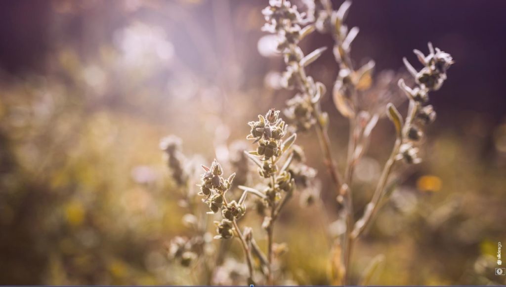 économie de proximité Neuchâtel