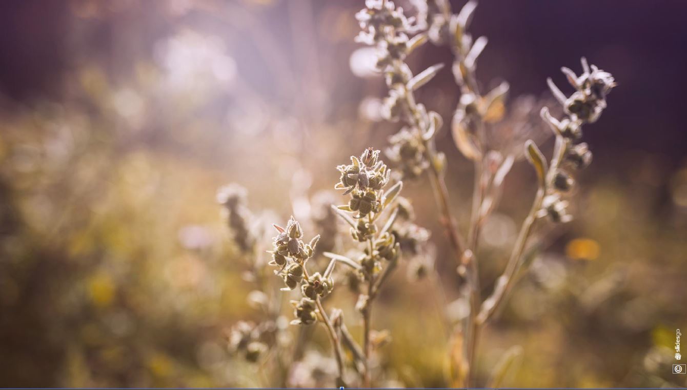 économie de proximité Neuchâtel