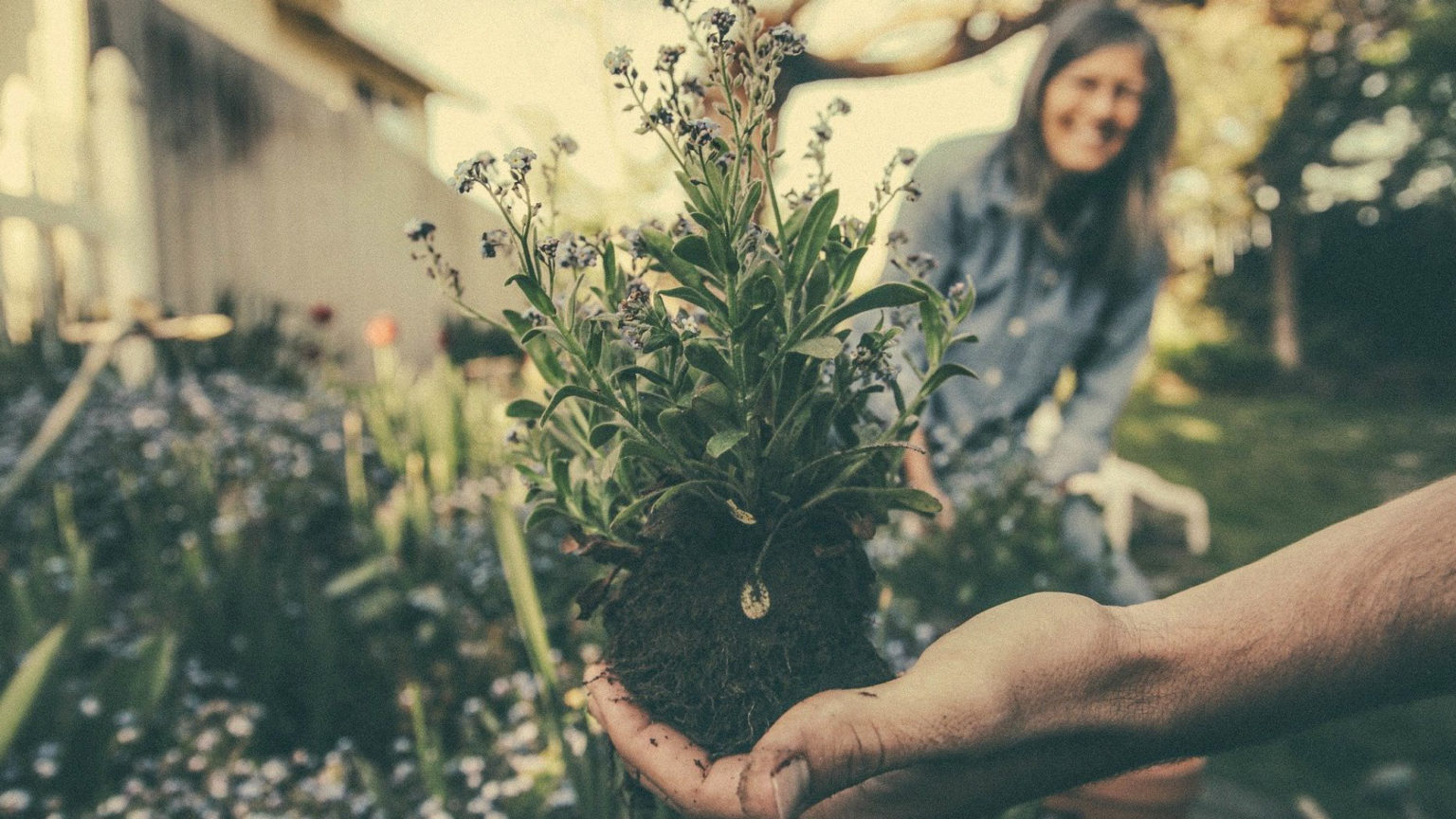 Economie de proximité 2020-2021